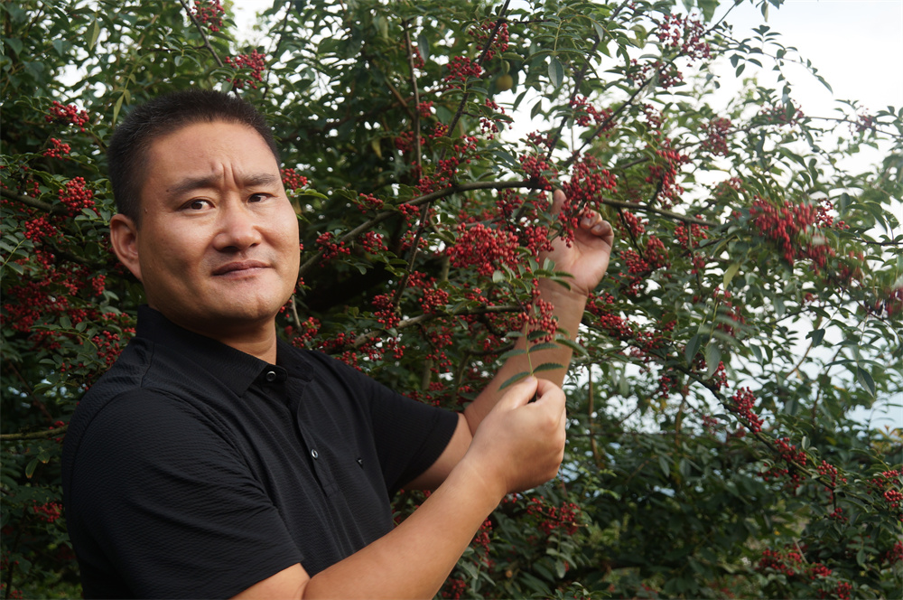 太阳GG2022大事记